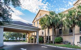 Comfort Inn University Gainesville